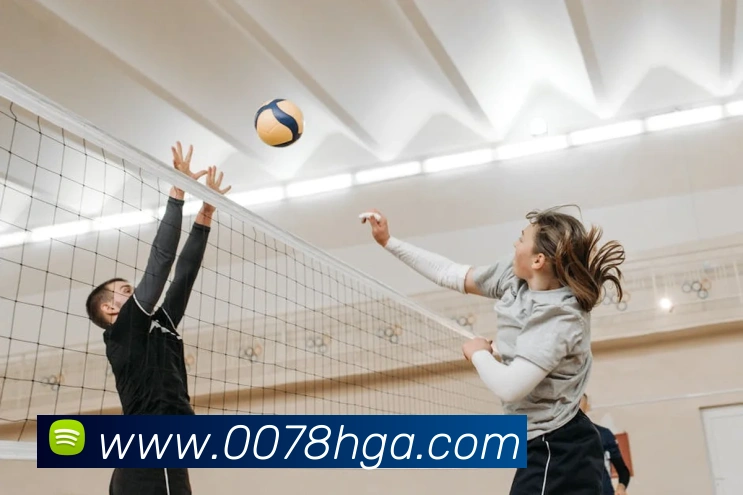 奖项证书